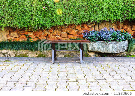 bench in Beautiful park with pathway 11583666