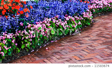 Landscaping in the garden 11583674