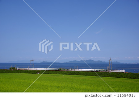 夏季火車 11584013