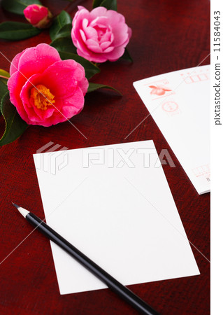New Year's Cards New Year's Cards 11584043