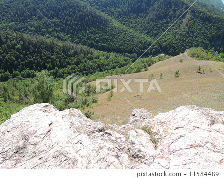 field in the forest on the mountain sunny summer day 11584489