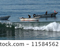 Kelp fishing 11584562