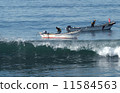 Kelp fishing 11584563