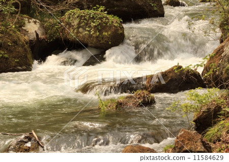 Okusease山谷 Okusease山谷 11584629