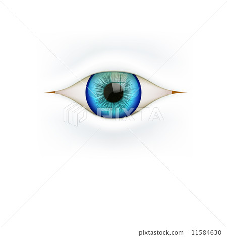 Background with human eye. Vector Illustration. 11584630