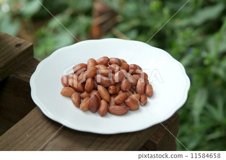 花生和花生 11584658