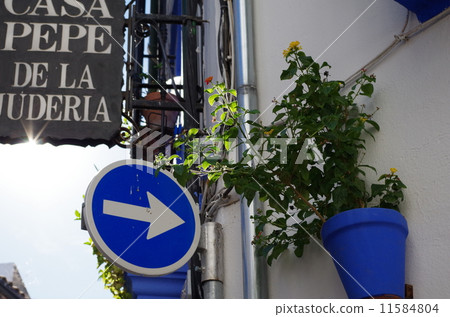 科爾多瓦猶太區的街角 11584804