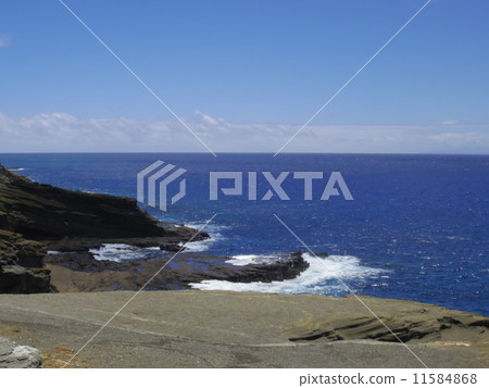 The sea of Hawaii The sea of Hawaii 11584868