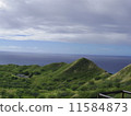 Diamond Head 11584873