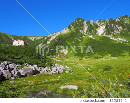 Kiso Komagatake Senjyojiki curl 11585541