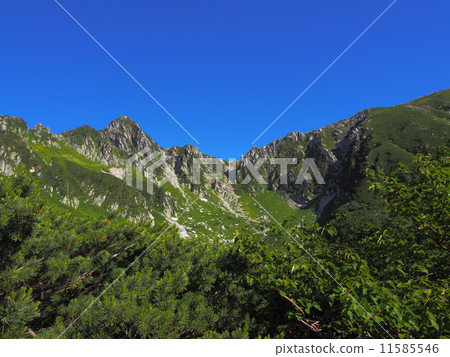 Kiso Komagatake Senjyojiki curl 11585546