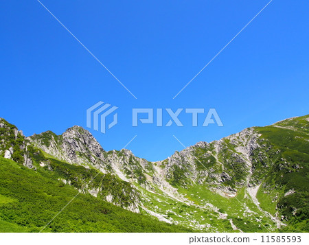 Kiso Komagatake Senjyojiki curl 11585593