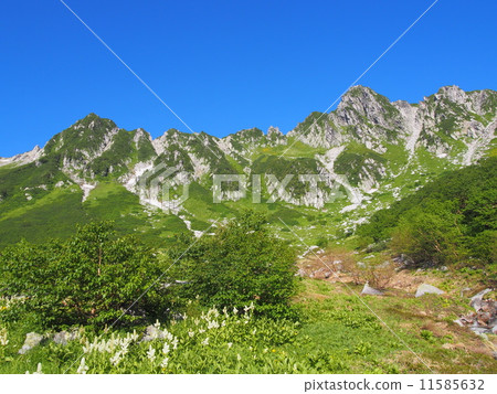 Kiso Komagatake Senjyojiki捲曲 Kiso Komagatake Senjyojiki捲曲 11585632