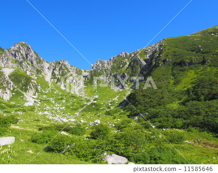 Kiso Komagatake Senjyojiki捲曲 Kiso Komagatake Senjyojiki捲曲 11585646