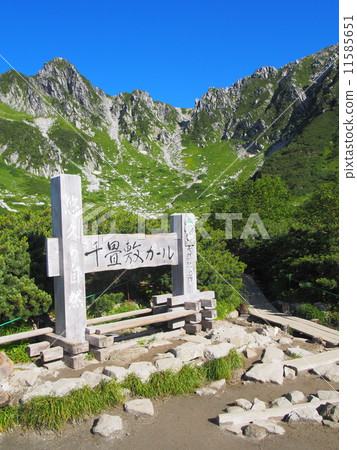 Kiso Komagatake Senjyojiki curl 11585651