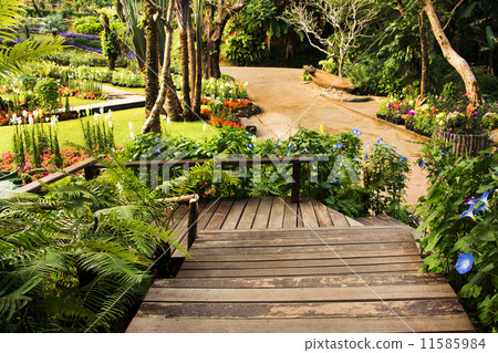 Landscaping in the garden. The path in the garden asian style 11585984