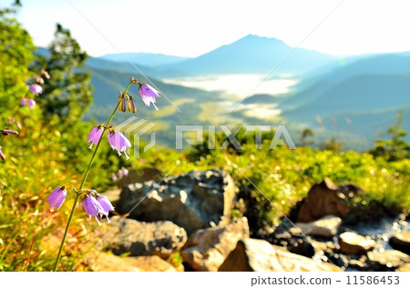 Tuliganinjin 11586453