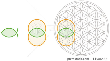 Vesica Piscis in Flower of Life - Stock Illustration [11586486] - PIXTA