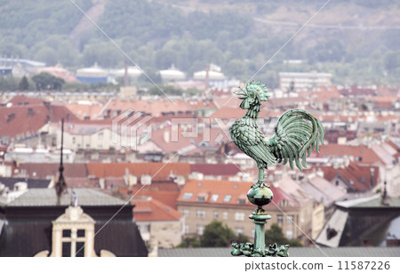 Rooster overlooking Prague roofs 11587226