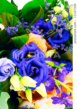Colorful Flowers Bouquet Isolated on White Background 11587306