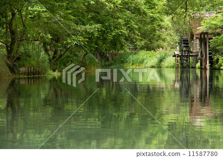Water mill crowded in green 11587780