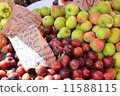 Croatia, Market in Zagreb city 11588115