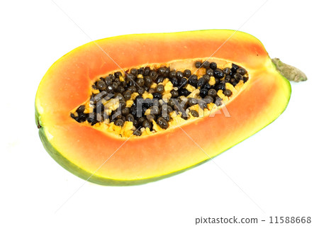 papaya 11588668