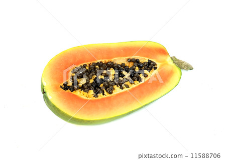 papaya 11588706