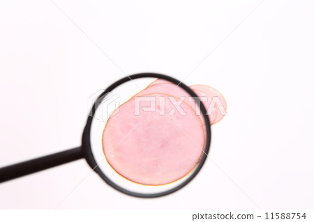 看看Rothham 11588754