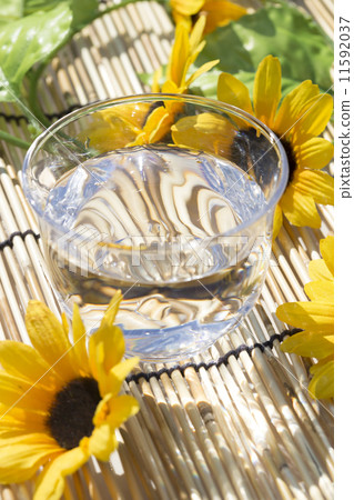 Sunflowers and summer scenery Sunflowers and summer scenery 11592037