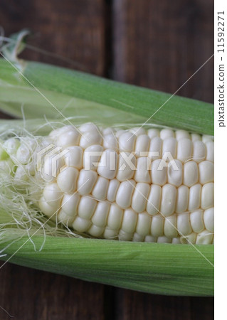 White corn that can be eaten raw - Pure White from Hokkaido White corn that can be eaten raw - Pure White from Hokkaido 11592271