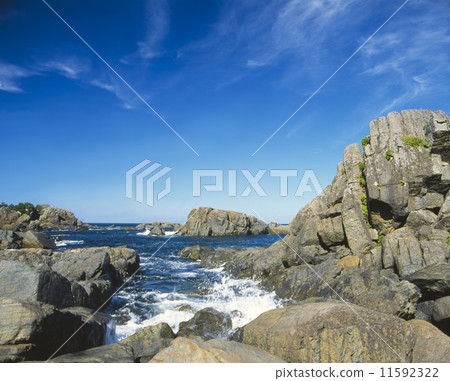 Hachinohe Species Coast 11592322