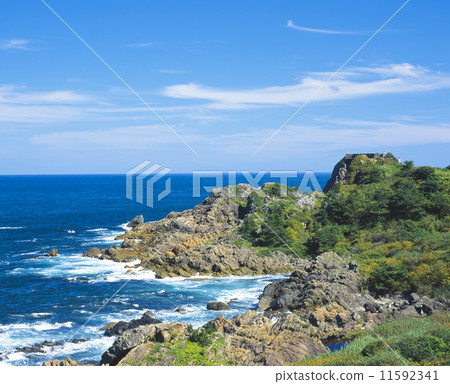 Hachinohe Species Coast Hachinohe Species Coast 11592341