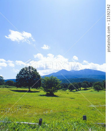 Mt. Hakkoda山高原 11592342