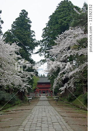 岩山神社垂直 11592352
