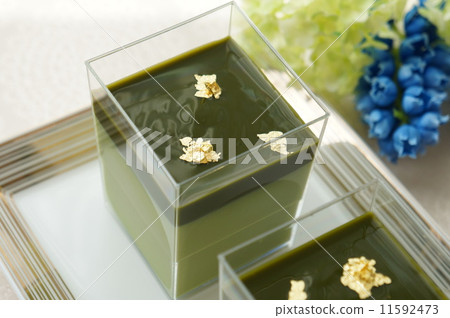 Matcha Bavaro 11592473