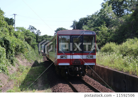 鹿島沿海鐵路火車 鹿島沿海鐵路火車 11592506
