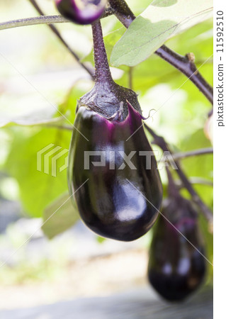 To make water To make water 11592510