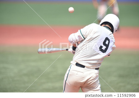 Baseball 11592906