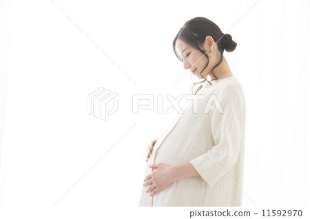 Pregnant woman 11592970