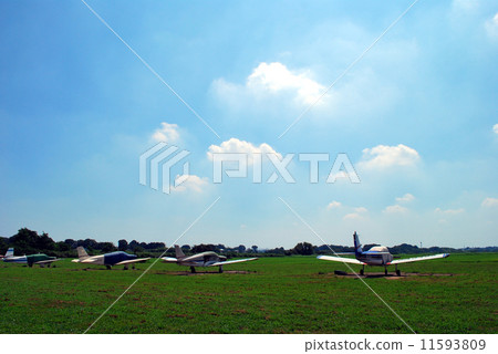 機場本田 11593809