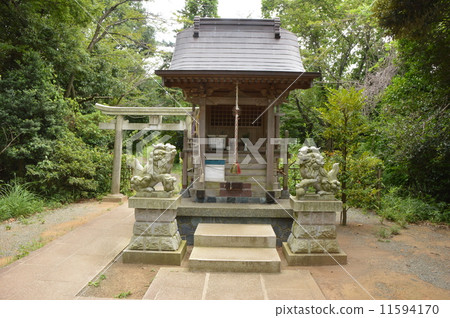 Summer of Hino city-city Hirayama castle ruins park 11594170