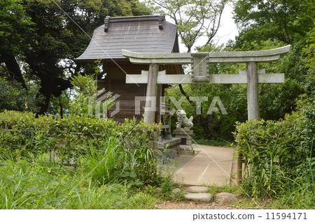 日野市市平山城堡的夏天廢墟公園 日野市市平山城堡的夏天廢墟公園 11594171