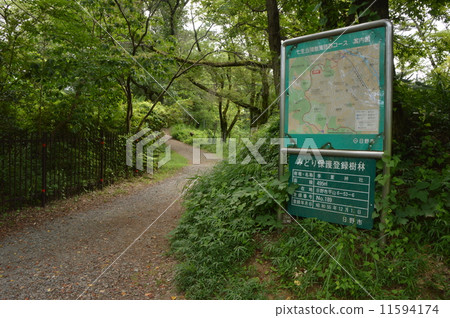 Summer of Hino city-city Hirayama castle ruins park 11594174