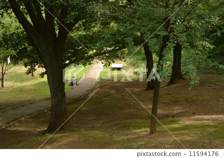 日野市市平山城堡的夏天廢墟公園 11594176
