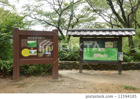 Summer of Hino city-city Hirayama castle ruins park 11594185