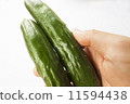 黃瓜 11594438