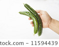 黃瓜 11594439