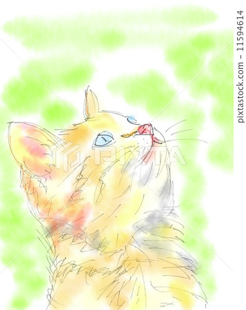 貓的插圖 11594614