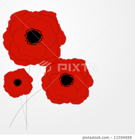 Red Poppies Flower Background Vector Illustration - Stock Illustration ...